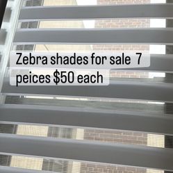 Zebra Shades  6 White , 2 Silver 