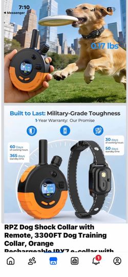 RPZ Dog Training Collar with Remote