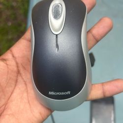 Mouse