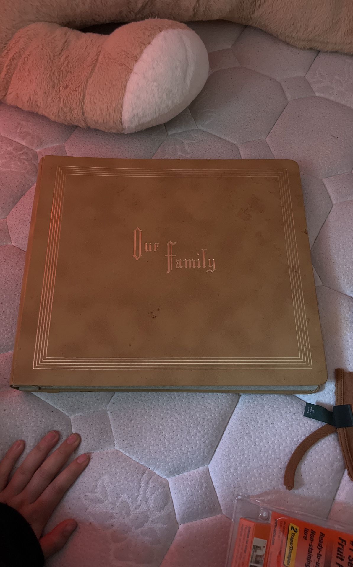 Family Photo Album :)