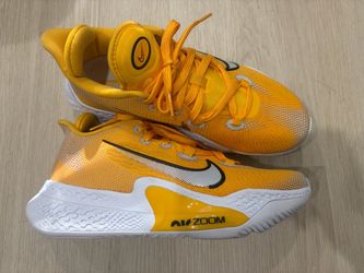 Nike Air Zoom Basketball Shoes