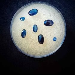 Natural Blue Cut Sapphire Gemstones 
