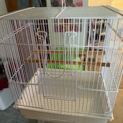 New Buggie Parakeet Cage 