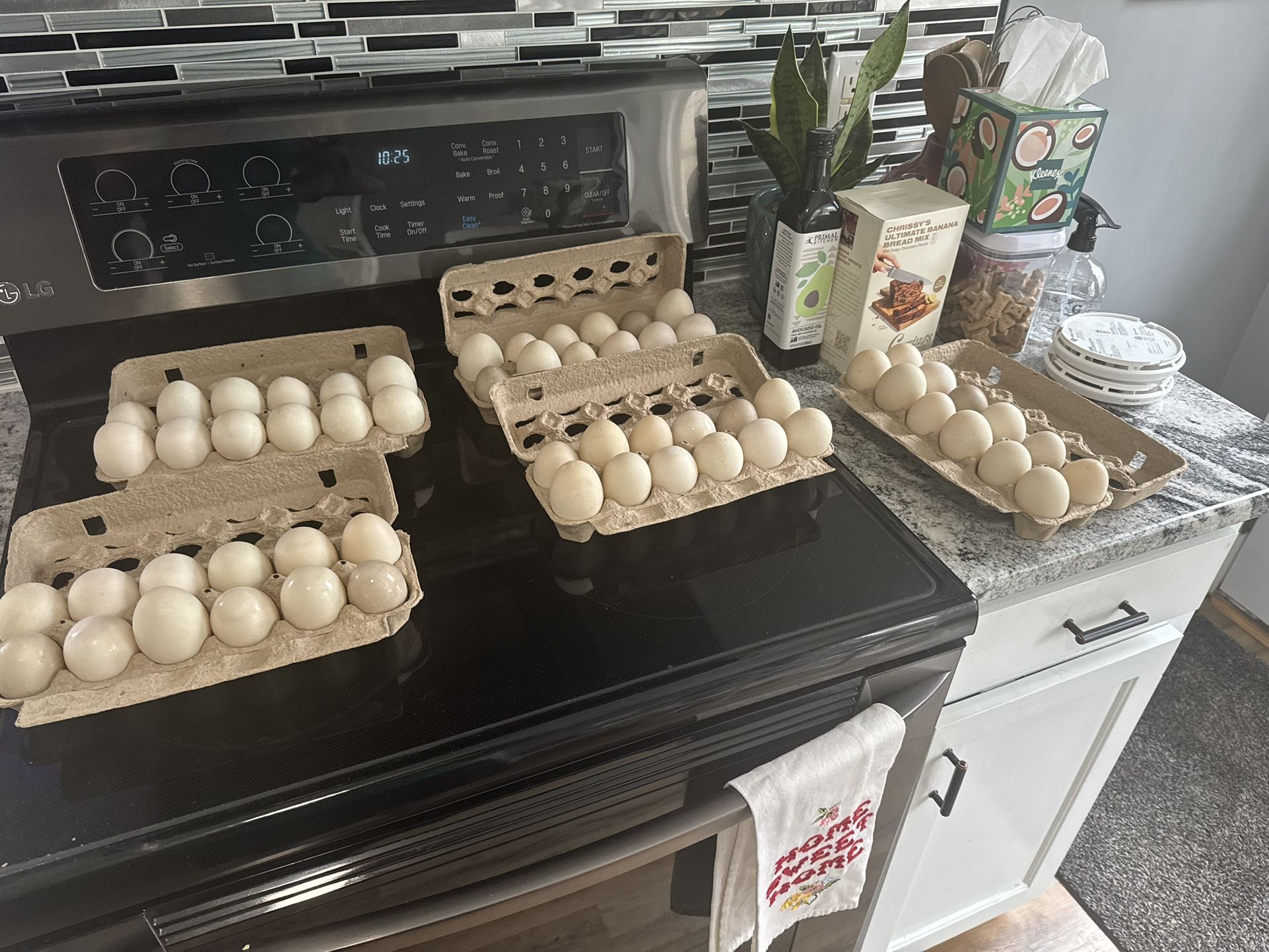 Duck Eggs