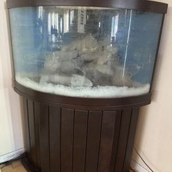 CORNER FISH TANK - Over 50 Gallons - Salt Water