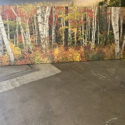 Oversized Canvas Wall Art – Peaceful Lake with Rowboat – 12ft x 4ft – $750 (Wauconda, IL)
