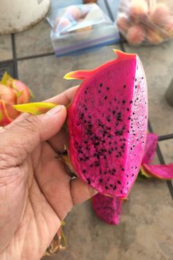 Organic Red Dragon Fruit - Very Sweet