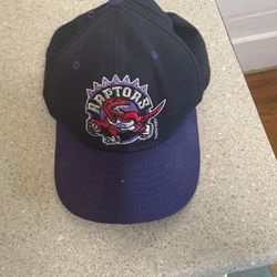Toronto Raptors Hat