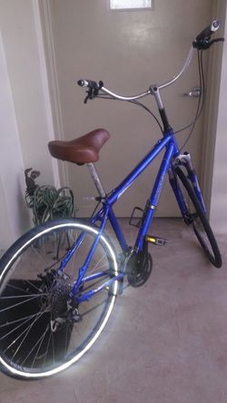 Raleigh 5.0 custom Cruiser