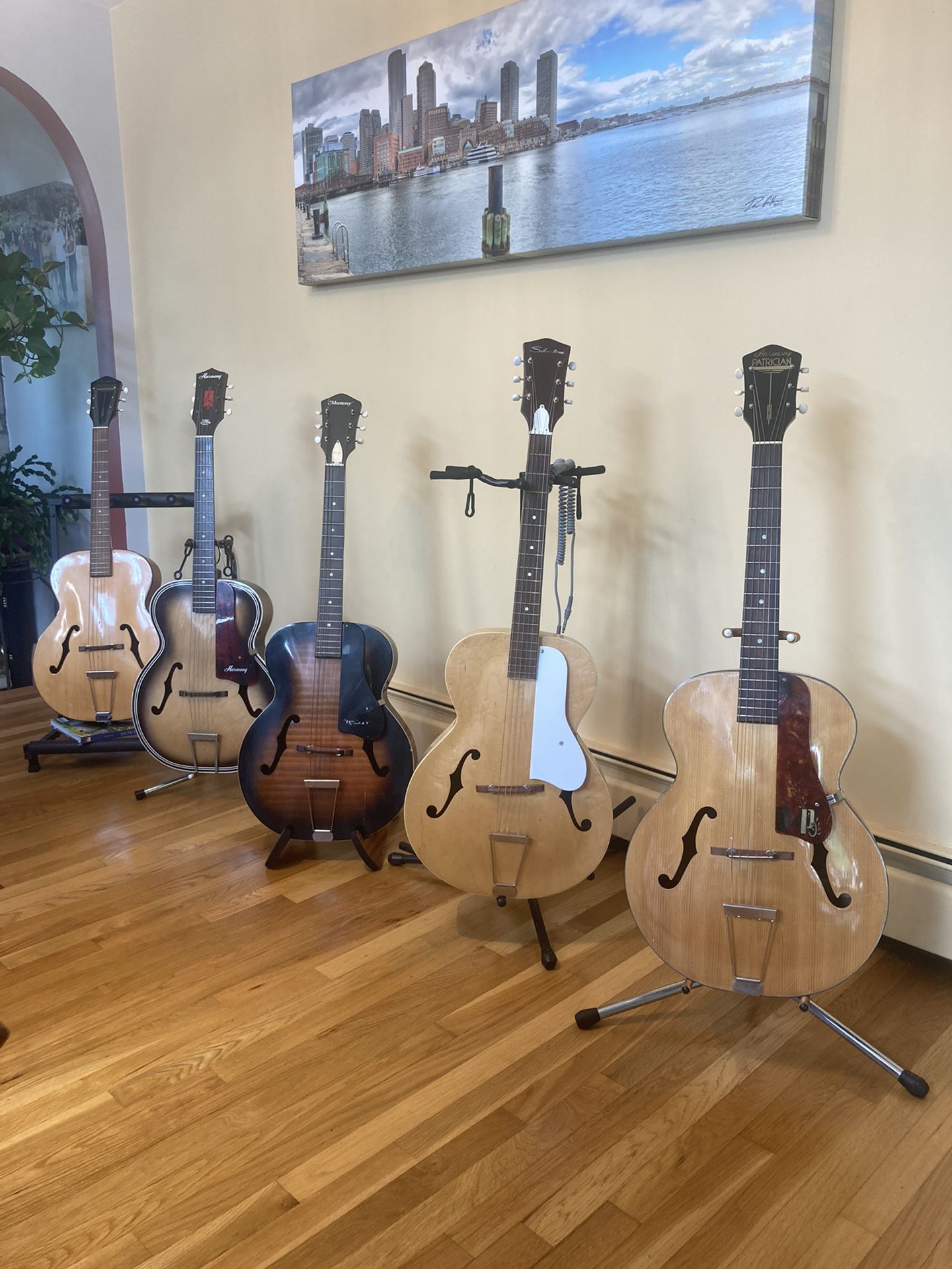 Archtop Acoustic Guitars