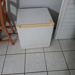 Mini Fridge 