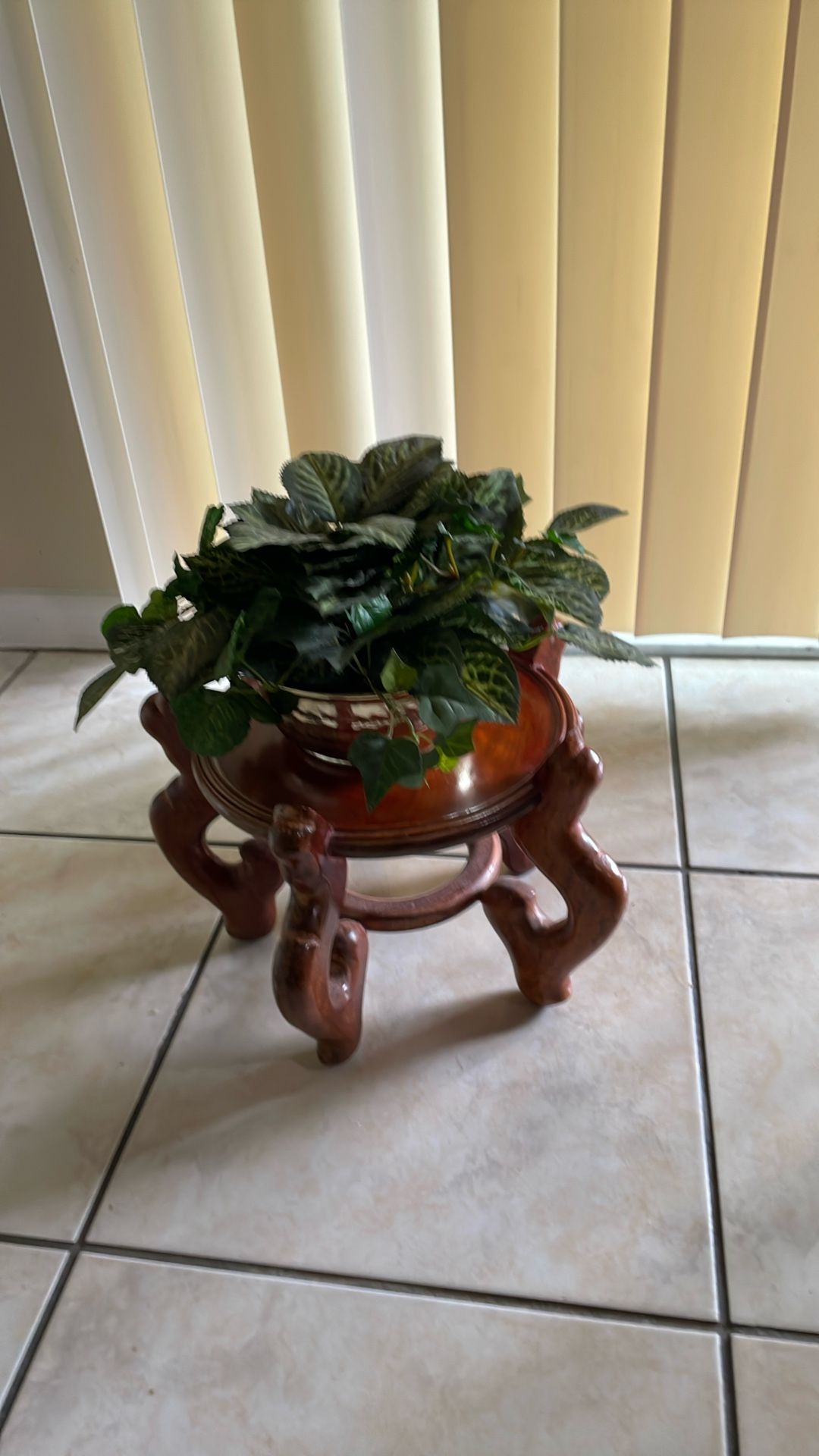 Plant With Its Base.