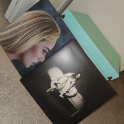 Snap-N-Store Vinyl Record Storage Box with Adele & Billie Eilish Vinyl