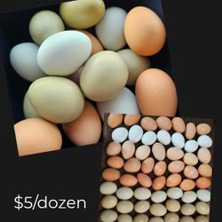 Farm Fresh Free Range Eggs