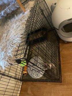Dog cage