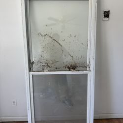 Window 