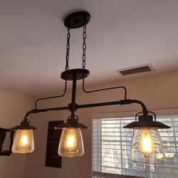 Industrial Light Fixture 