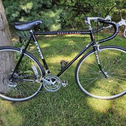 Schwinn World Sport 12 Speed Road Bike  23" Frame