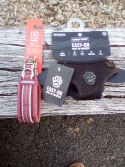 Small Dog Collar And Harness