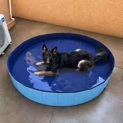New In Box 60x11 Inch Tall Foldable Fast Setup Pet Dog Swimming Pool With Water Drainage 
