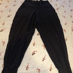 American Eagle Aerie Jogger Pants 