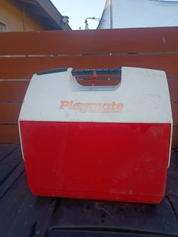 Small ice chest