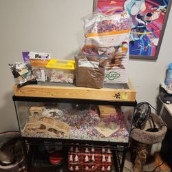 Hamster Supplies (FREE)