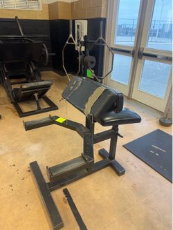 Preacher Curl Bench