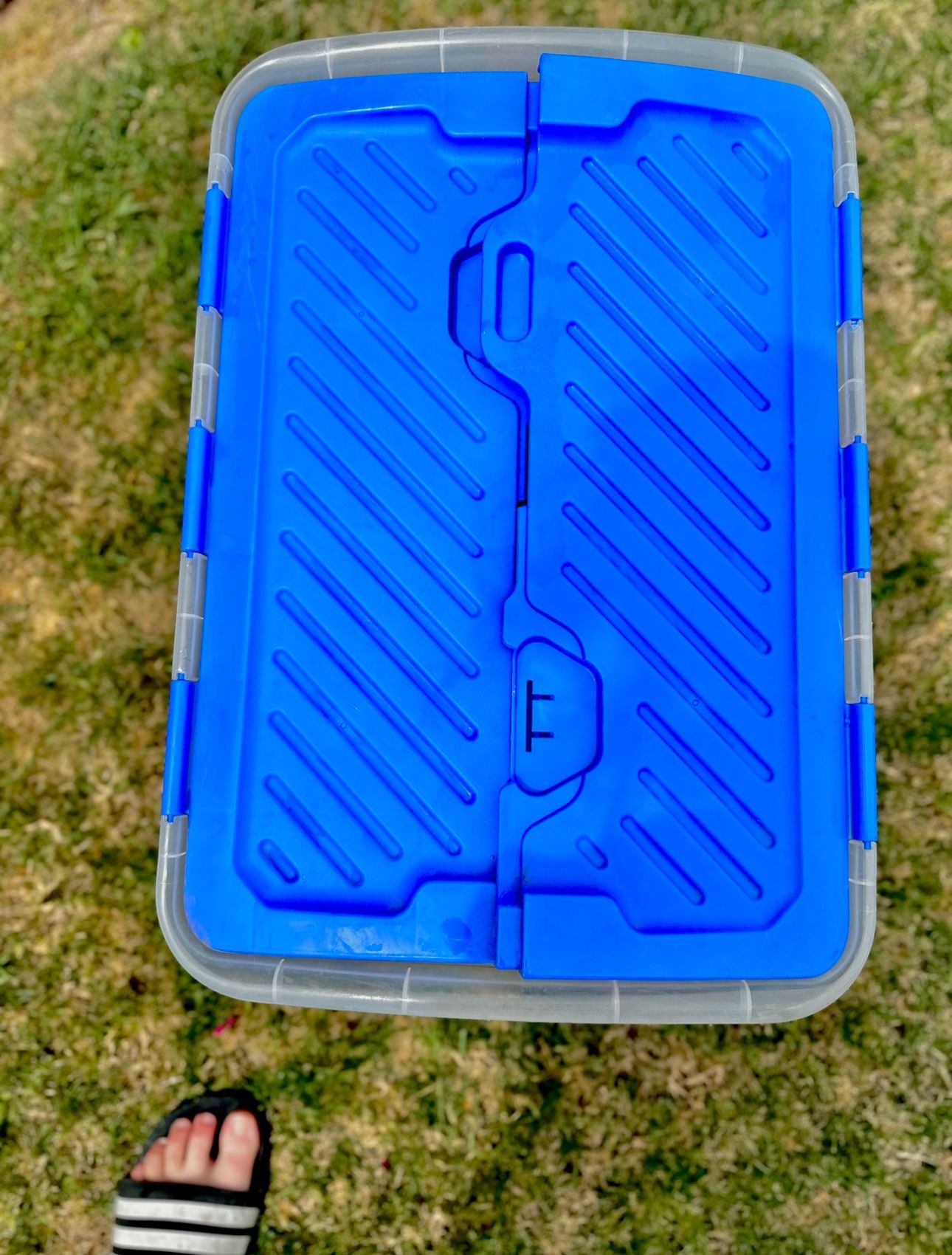 Real Organized 12-Gallons Clear/Assorted Tote with Hinged Lid