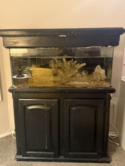 30-Gallon Aquarium with Wood Cabinet and Canopy