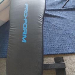 Pro Form Carbon Smith Workout Bench