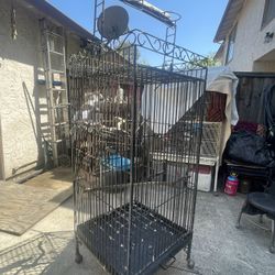 Metal Parrot / Bird Cage