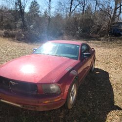 2007 Ford Mustang