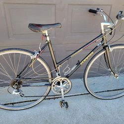 Schwinn Bicycle