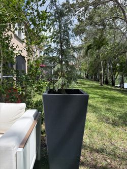 SUPER TALL 37 inch black planter
