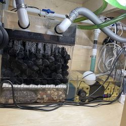 Pro Clear Premier 200 Series Wet/Dry Filters Aquarium