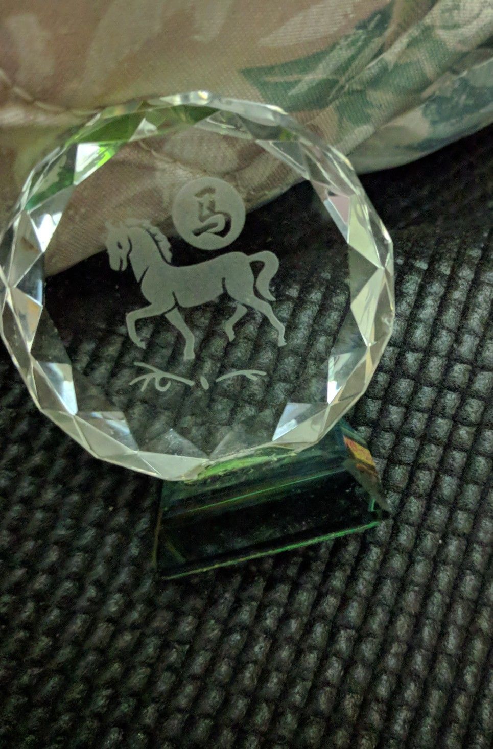 Glass Horse