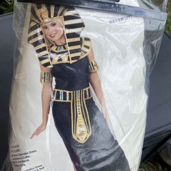 halloween custome