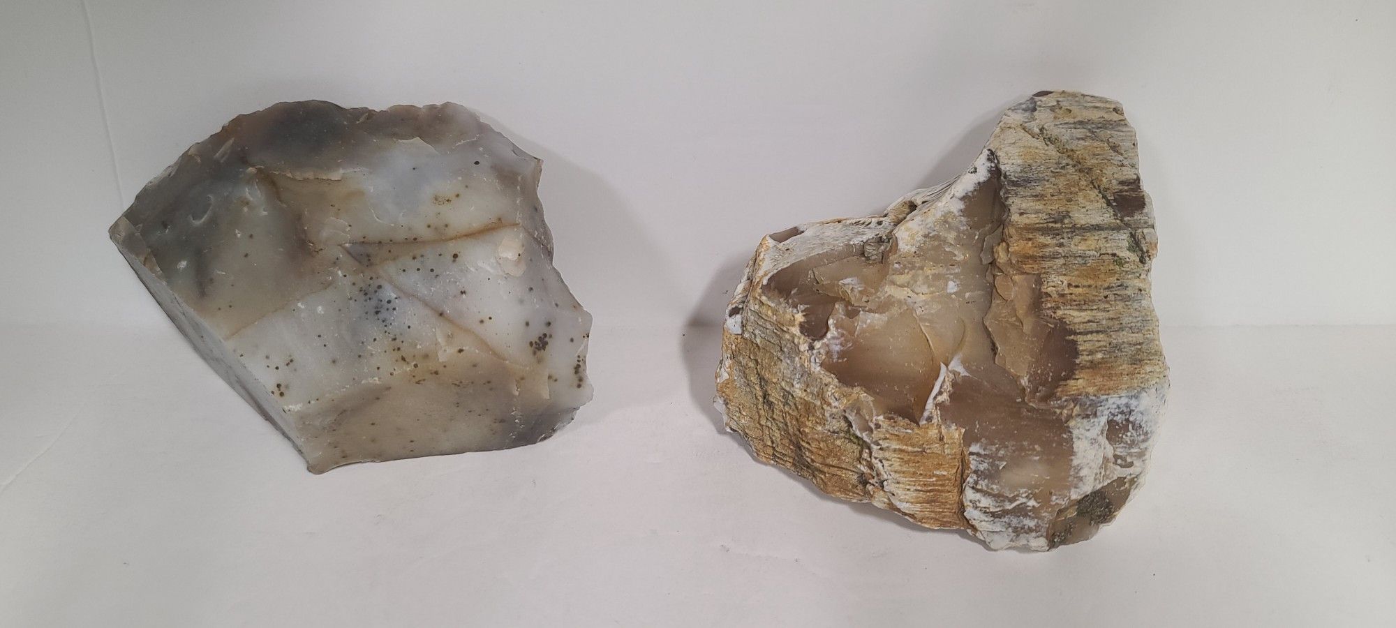 2 Cool Rocks, Petrified Wood And An Agate