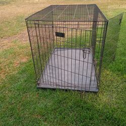 Large dog cage