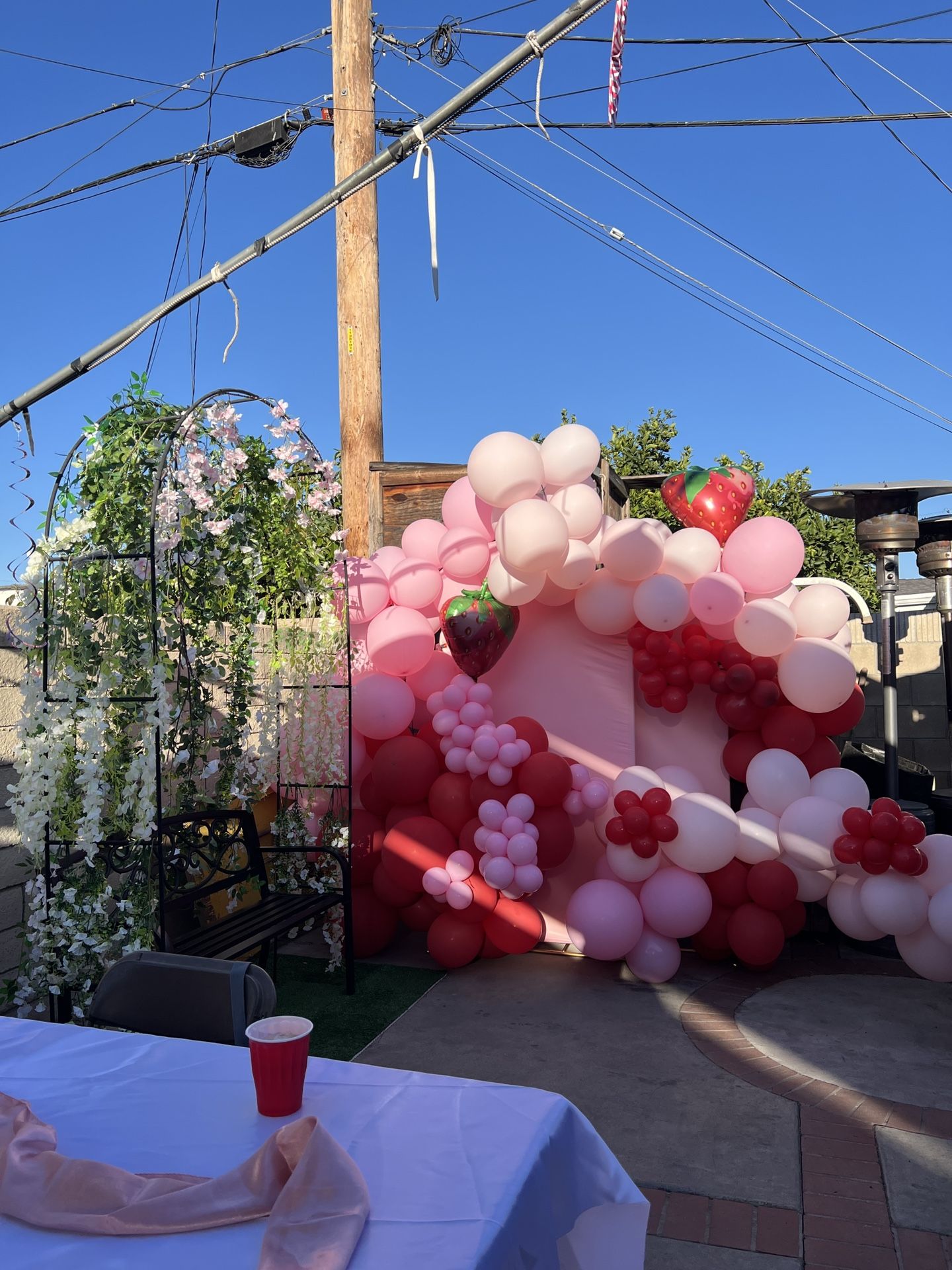 Balloon Archs