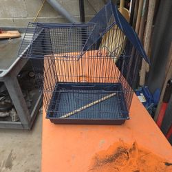 Bird Cage 