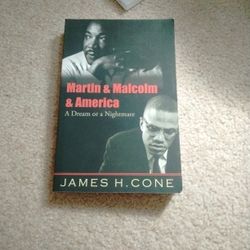 Martin And Malcolm And America A Dream Or A Nightmare