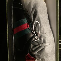gucci ace