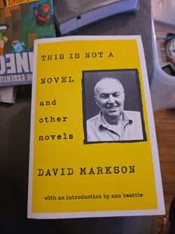 This is not a novel And another novel's book