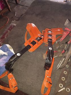 MSA Full body harness and tree climbing spikes