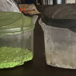 Betta Tanks