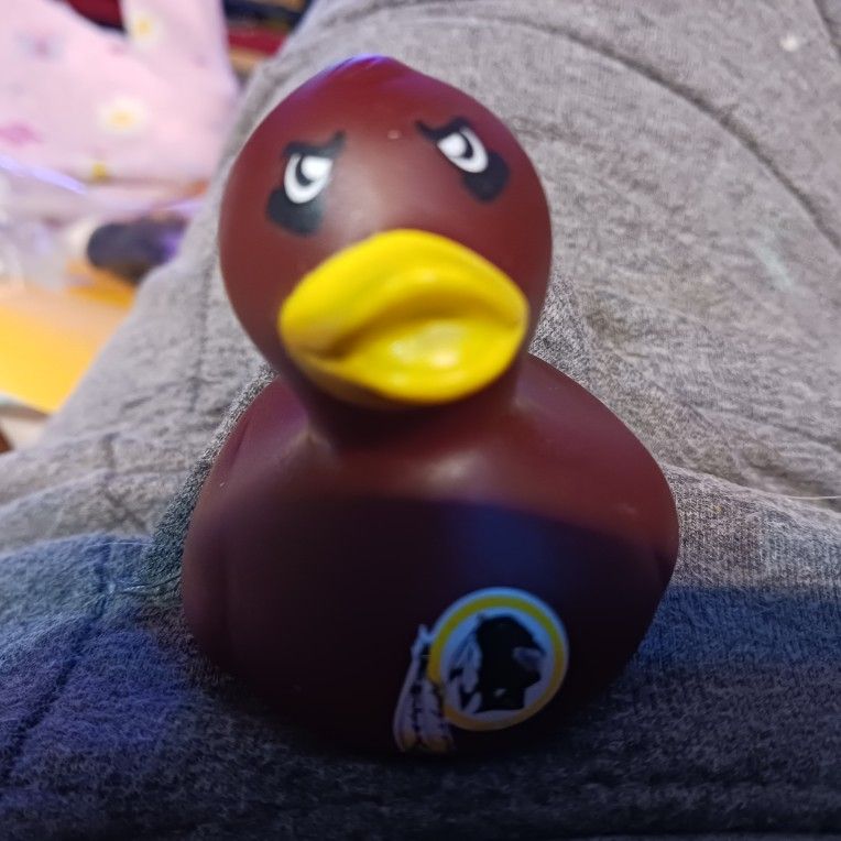 Vintage Redskins Duck