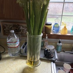Decorative Plant 