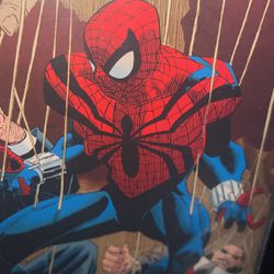 Spider Man Comics 